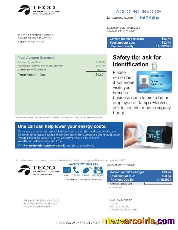 USA TECO utility bill